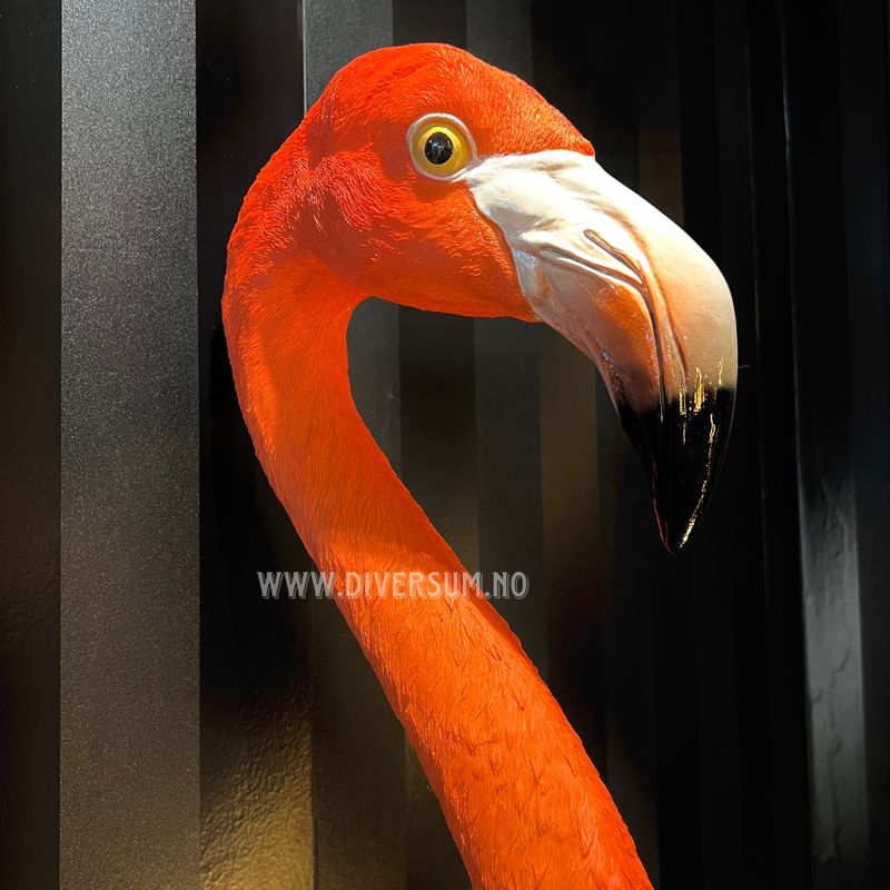 Veggdekorasjon Flamingo