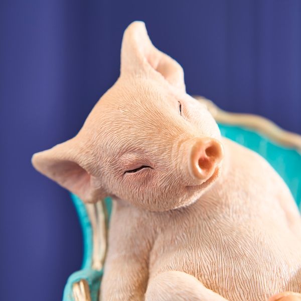 Hovedbilde Gris som tar en lur i en lenestol