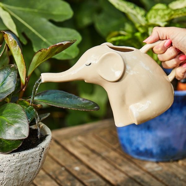 Hovedbilde Elephant vannkanne 