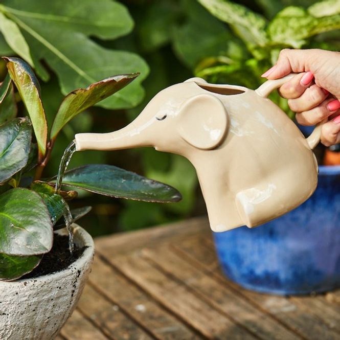 Hovedbilde Elephant vannkanne 