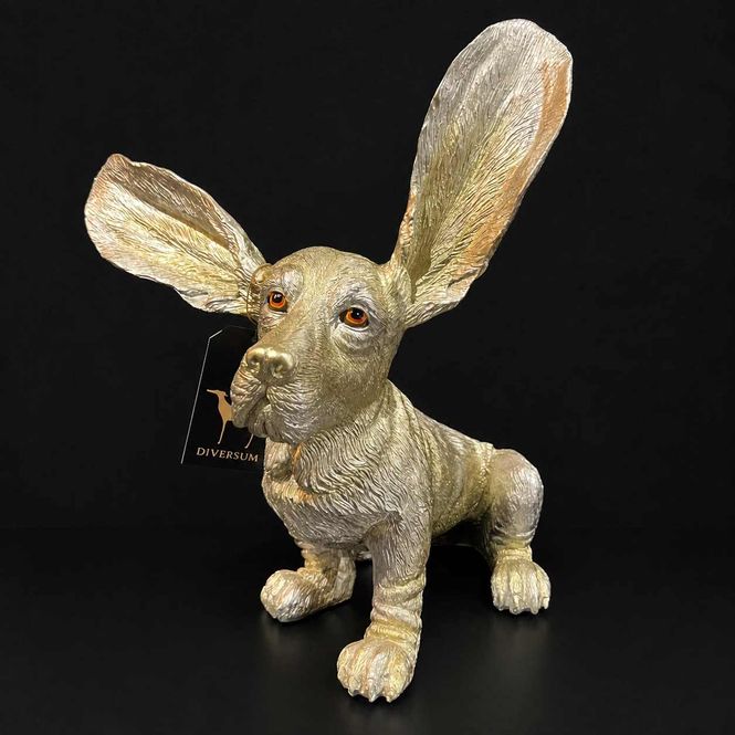 Hovedbilde Surprised Basset champagne