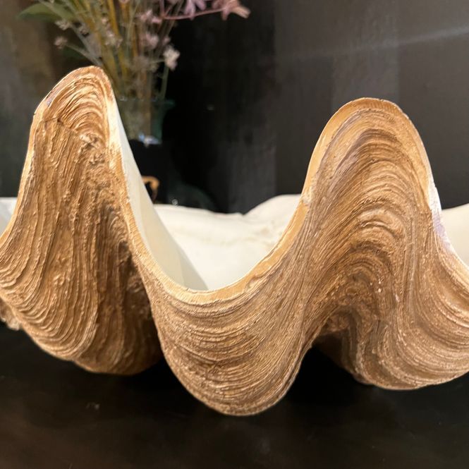 Hovedbilde Stor dekorativ skål med muslingskall Clam Shell