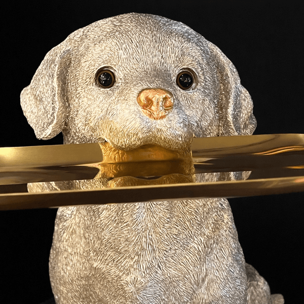 Hovedbilde Labrador hund med fat